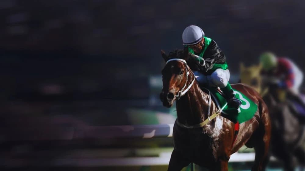 Unusual Horse Racing Betting Markets to Explore