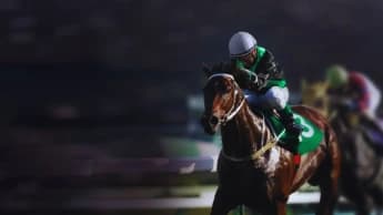 Unusual Horse Racing Betting Markets to Explore