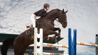 Exploring Quinella Betting in Horse Racing