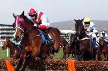 Understanding Trifecta Betting in Horse Racing